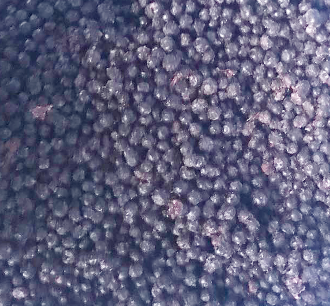 Черника, 10 кг