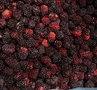 Ежевика весовая, 10 кг
