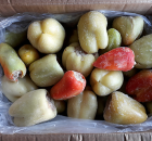 Перец фаршированный, 5 кг